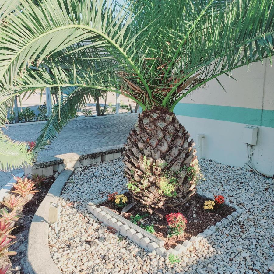Tropical Palm Motel North Fort Myers Eksteriør billede